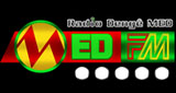 Logo Dengê MED