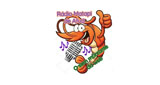 Logo Rádio Matapi de Afuá
