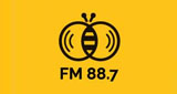 Logo Soomba