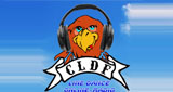 Logo Country Hochrhein