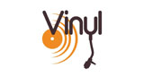 Logo Vinyl Radio NZ