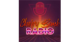 Logo Cherry Bomb
