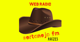 Logo Sertanejo FM Raízes