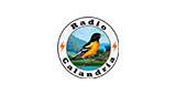 Logo Radio Calandria
