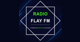 Logo Flay-FM