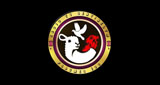 Logo Radiotelesentinel