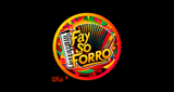 Logo Fay Só Forró