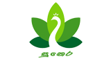 Logo APayy Radio Sunera
