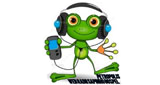 Logo Web Radio Sapinho Gospel