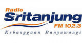 Logo Radio Sritanjung FM