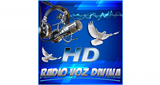 Logo Radio Voz Divina FM