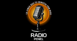 Logo Radio Peniel Jinotega