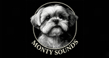Logo Monty Sounds Radio