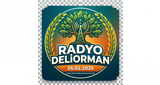 Logo RadYo Deliorman