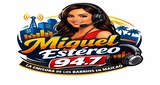 Logo Miguelstereonline