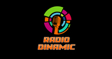 Logo dinamicfm