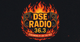 Logo DSE Radio