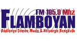 Logo Flamboyan FM BKL