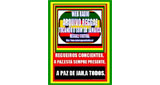 Logo Arquivo Reggae