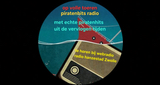 Logo Hanzestad Etherpiraten