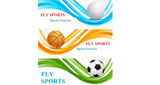 Logo Fly Sports
