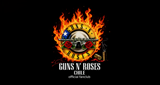 Logo Guns N Roses Fans
