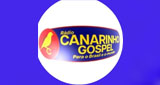 Logo Radio Canarinho Gospel Chapao Bonito