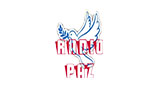 Logo Radio TV Paz Online