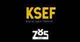 Logo KSEF-DB 785Live