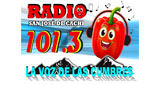 Logo Radio San Jose de Cachi 101.3