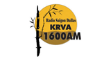 Logo Radio Saigon Dallas