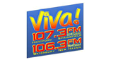 Logo Viva 107.3 FM