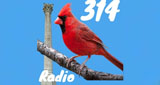 Logo 314 Bird Radio