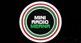 Logo Mini Radio Meana