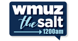 Logo The Salt