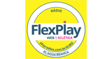 Logo FLEX PLAY Água Branca