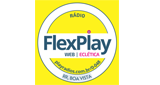 Logo FLEX PLAY Boa Vista