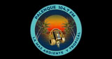 Logo Paleque 104.7fm