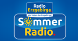 Logo Radio Erzgebirge - Sommerradio