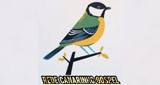 Logo Rede Canarinho Gospel