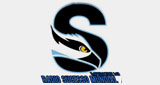 Logo Radio Sucesso Mundial