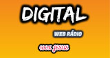 Logo Digital Stereo Web