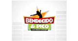 Logo Bendecido y Pico