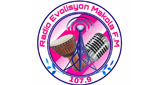 Logo Evolisyon Makola F.M