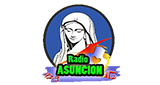 Logo Radio Asuncion 92.3 y tv Tacána