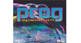 Logo 113.FM Prog Spectrum