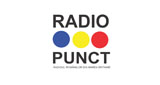 Logo Radio Punct