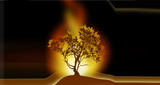Logo Radio Flambeau De Jesus Christ