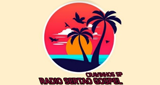 Logo Radio Sertao Gospel FM