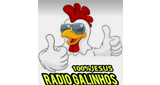 Logo Radio Galinhos